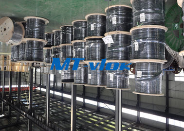ASTM Stainless Steel Coiled Tubing Multi - Core Seamless Stainless Steel Pipe